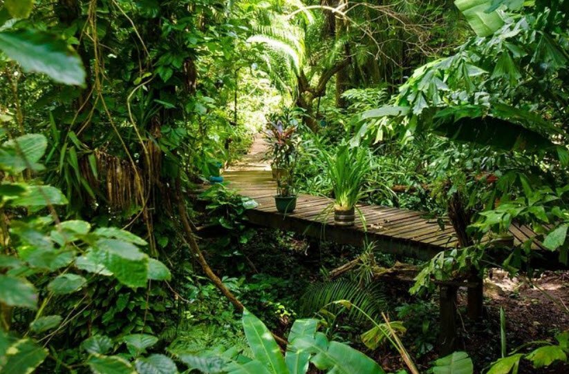 Carambola Botanical Gardens, Roatán, Honduras